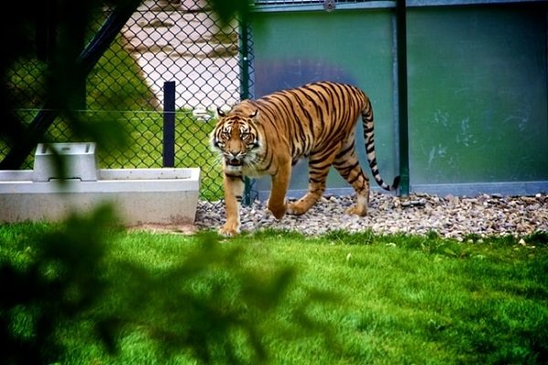 taxi-for-kamla-nehru-zoo-ahmedabad