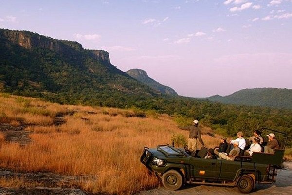 taxi-for-ranakpur-jungle-safari